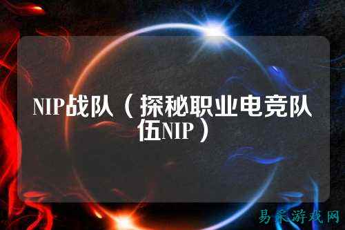 NIP战队（探秘职业电竞队伍NIP）