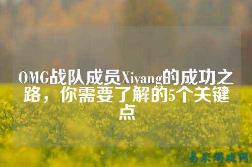 OMG战队成员Xiyang的成功之路，你需要了解的5个关键点