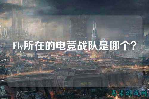 Fly所在的电竞战队是哪个？
