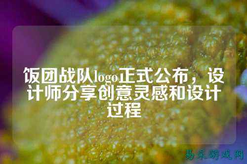 饭团战队logo正式公布，设计师分享创意灵感和设计过程