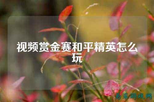 视频赏金赛和平精英怎么玩