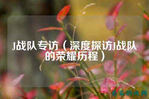 J战队专访（深度探访J战队的荣耀历程）
