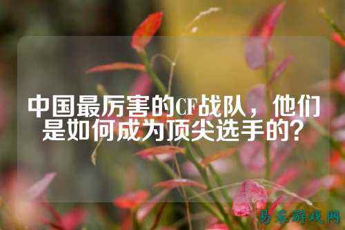 中国最厉害的CF战队,他们是如何成为顶尖选手的?