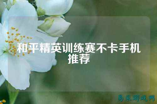 和平精英训练赛不卡手机推荐