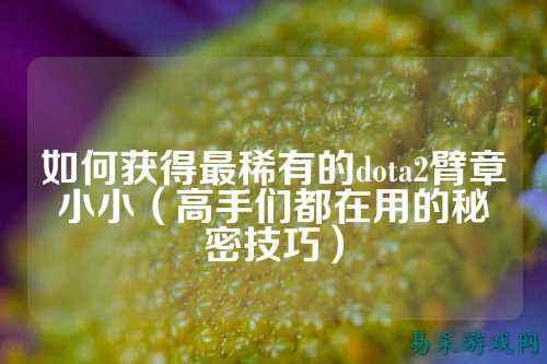 如何获得最稀有的dota2臂章小小(高手们都在用的秘密技巧)
