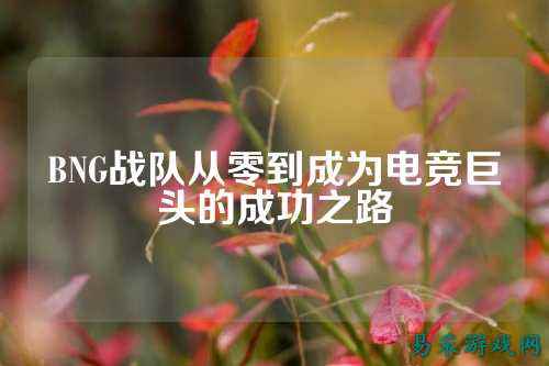BNG战队从零到成为电竞巨头的成功之路