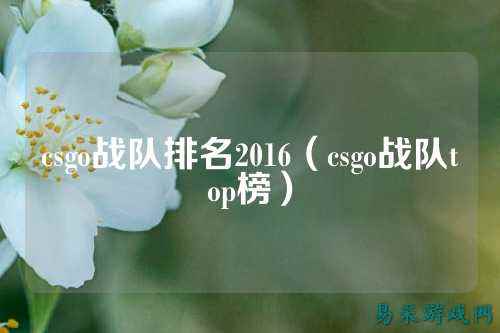 csgo战队排名2016(csgo战队top榜)