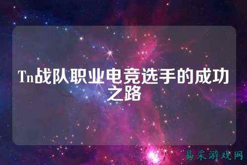 Tn战队职业电竞选手的成功之路