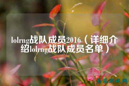 lolrng战队成员2016（详细介绍lolrng战队成员名单）