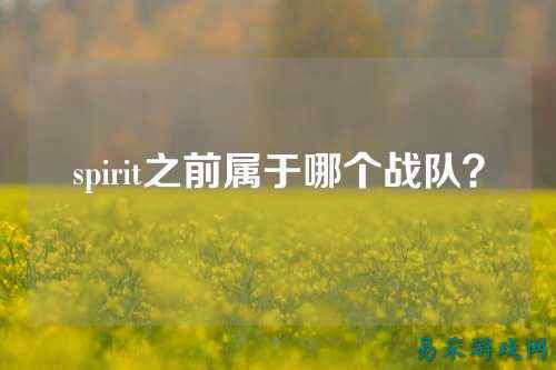 spirit之前属于哪个战队？