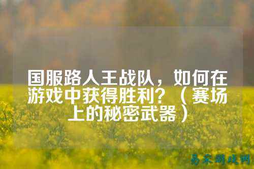 国服路人王战队，如何在游戏中获得胜利？（赛场上的秘密武器）