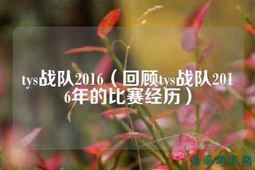 tys战队2016（回顾tys战队2016年的比赛经历）