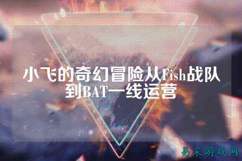 小飞的奇幻冒险从Fish战队到BAT一线运营