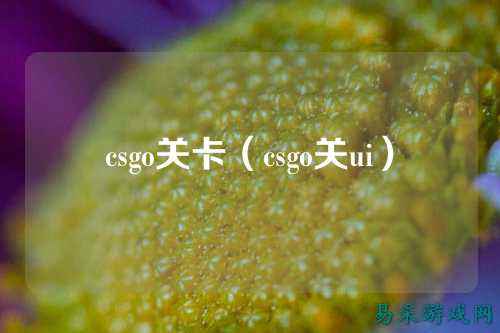 csgo关卡(csgo关ui)