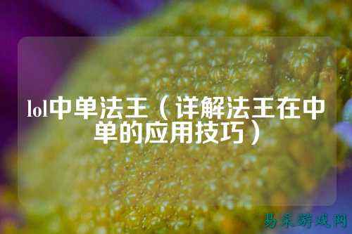 lol中单法王(详解法王在中单的应用技巧)