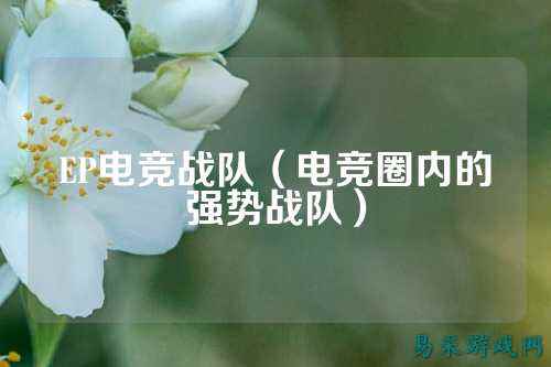 EP电竞战队（电竞圈内的强势战队）
