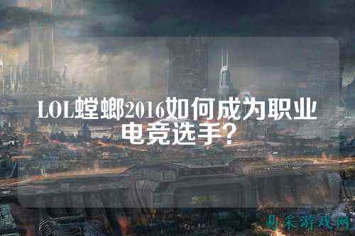 LOL螳螂2016如何成为职业电竞选手?
