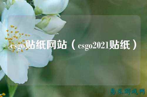 csgo贴纸网站(csgo2021贴纸)