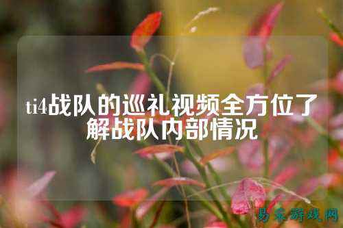 ti4战队的巡礼视频全方位了解战队内部情况