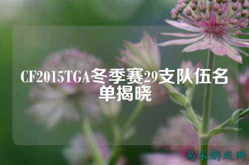 CF2015TGA冬季赛29支队伍名单揭晓