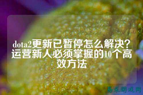 dota2更新已暂停怎么解决?运营新人必须掌握的10个高效方法