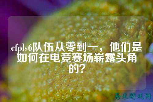 cfpls6队伍从零到一,他们是如何在电竞赛场崭露头角的?