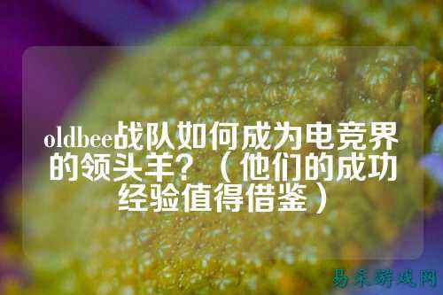 oldbee战队如何成为电竞界的领头羊？（他们的成功经验值得借鉴）