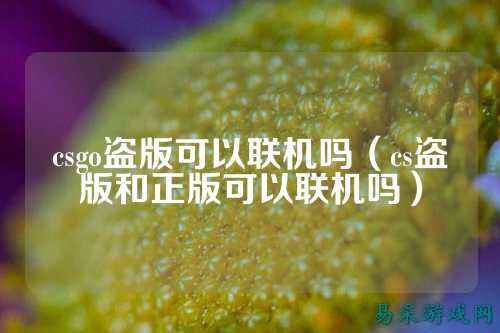csgo盗版可以联机吗(cs盗版和正版可以联机吗)