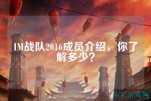 IM战队2016成员介绍，你了解多少？