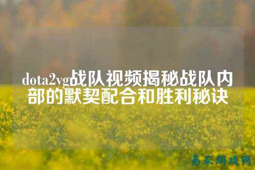 dota2vg战队视频揭秘战队内部的默契配合和胜利秘诀