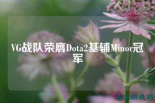 VG战队荣膺Dota2基辅Minor冠军