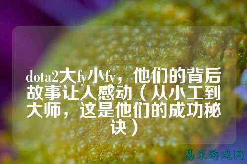 dota2大fy小fy,他们的背后故事让人感动(从小工到大师,这是他们的成功秘诀)