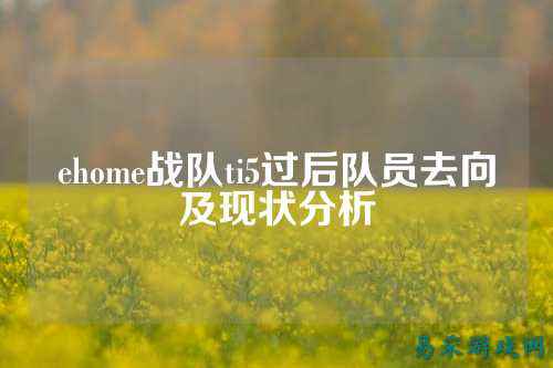 ehome战队ti5过后队员去向及现状分析