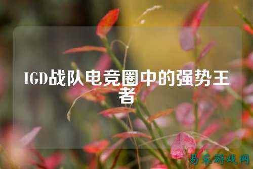 IGD战队电竞圈中的强势王者