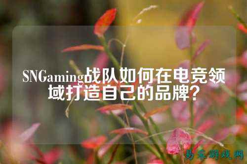 SNGaming战队如何在电竞领域打造自己的品牌？