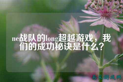 ne战队的long超越游戏，我们的成功秘诀是什么？