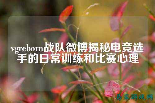 vgreborn战队微博揭秘电竞选手的日常训练和比赛心理
