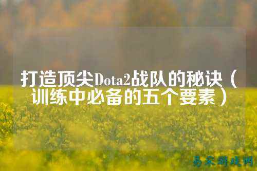 打造顶尖Dota2战队的秘诀（训练中必备的五个要素）