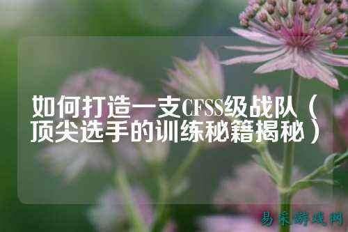 如何打造一支CFSS级战队（顶尖选手的训练秘籍揭秘）