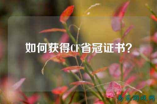 如何获得CF省冠证书?