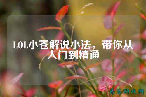 LOL小苍解说小法,带你从入门到精通