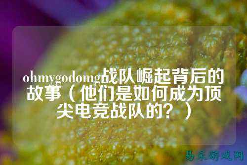 ohmygodomg战队崛起背后的故事（他们是如何成为顶尖电竞战队的？）