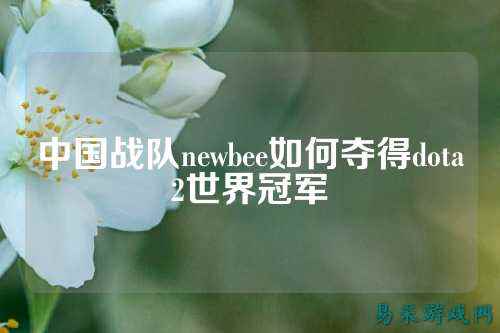中国战队newbee如何夺得dota2世界冠军