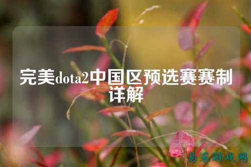 完美dota2中国区预选赛赛制详解