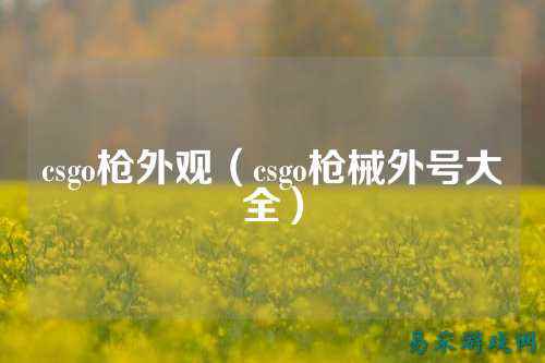 csgo枪外观(csgo枪械外号大全)