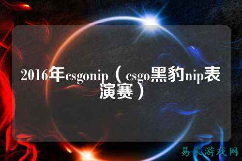 2016年csgonip(csgo黑豹nip表演赛)