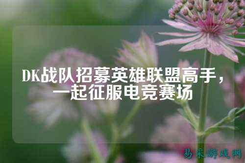 DK战队招募英雄联盟高手，一起征服电竞赛场