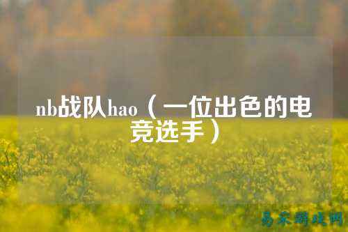nb战队hao（一位出色的电竞选手）