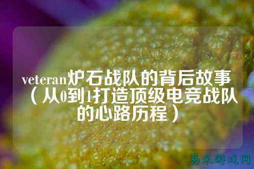 veteran炉石战队的背后故事（从0到1打造顶级电竞战队的心路历程）