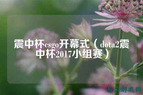 震中杯csgo开幕式(dota2震中杯2017小组赛)